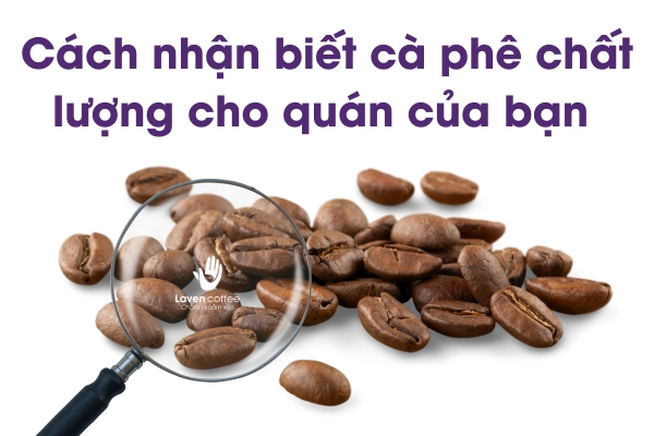 Nhận biết cà phê chất lượng giá rẻ cho quán cà phê mang đi tại Biên Hòa Đồng Nai